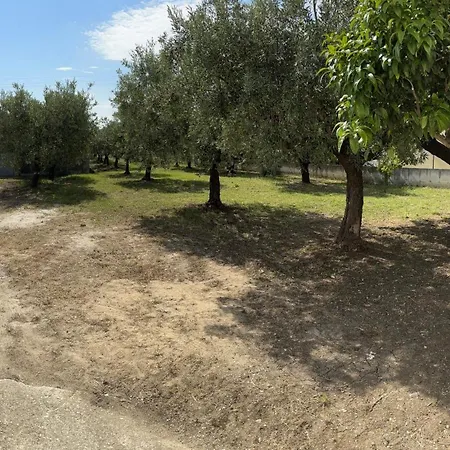 Domus Alba Dom wakacyjny