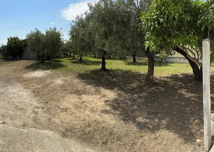 Domus Alba Casa vacanze